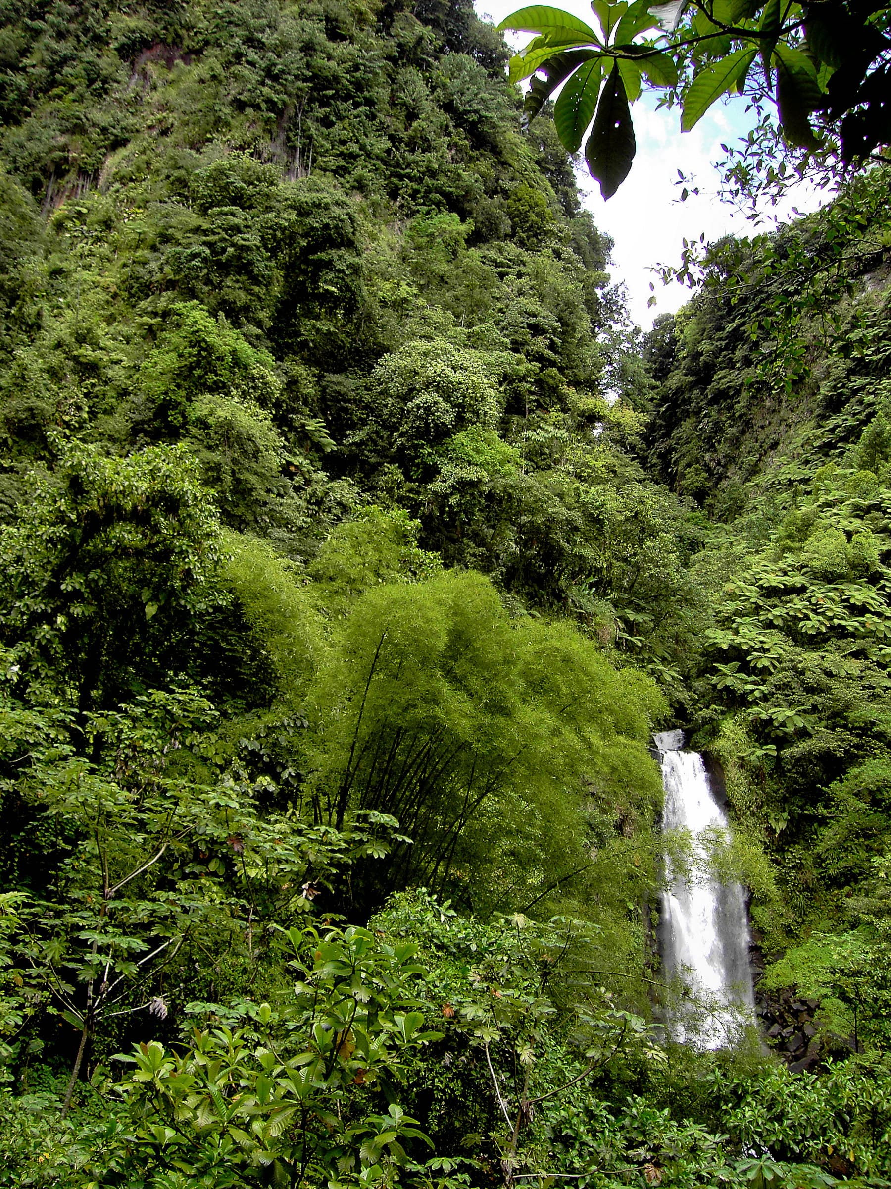 Dominica 2